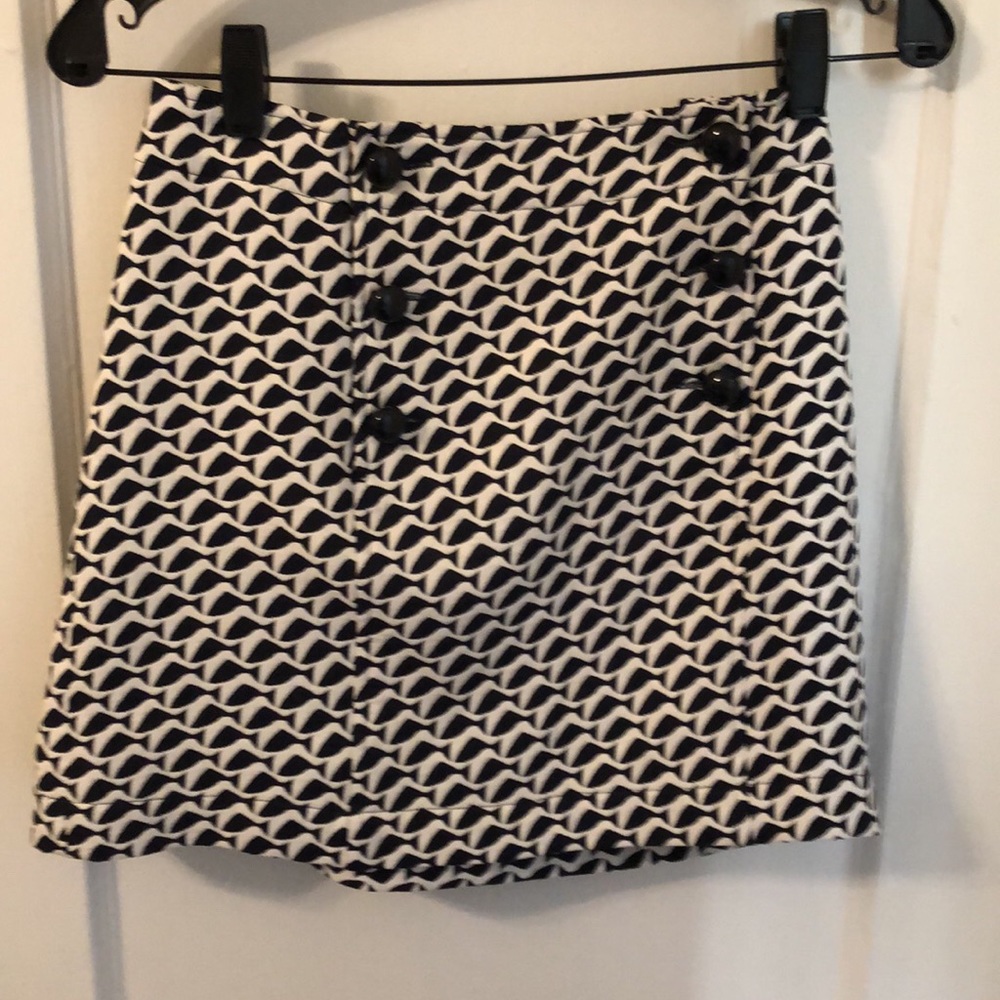 Vineyard Vines Skirt. Navy and blue button down.